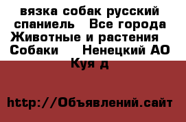 вязка собак русский спаниель - Все города Животные и растения » Собаки   . Ненецкий АО,Куя д.